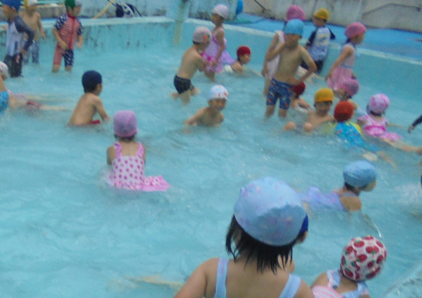 幼児組の子ども達がプールで遊んでいる様子の画像1
