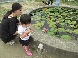 「シャボン玉がたくさんできたよ」の画像3