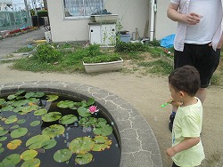 「シャボン玉がたくさんできたよ」の画像4