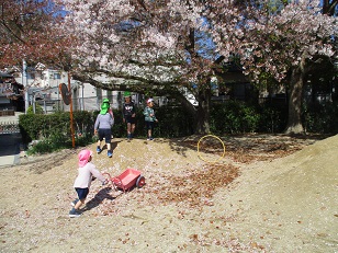 桜の木の下での画像1