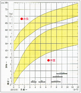 乳幼児身体発育曲線の画像