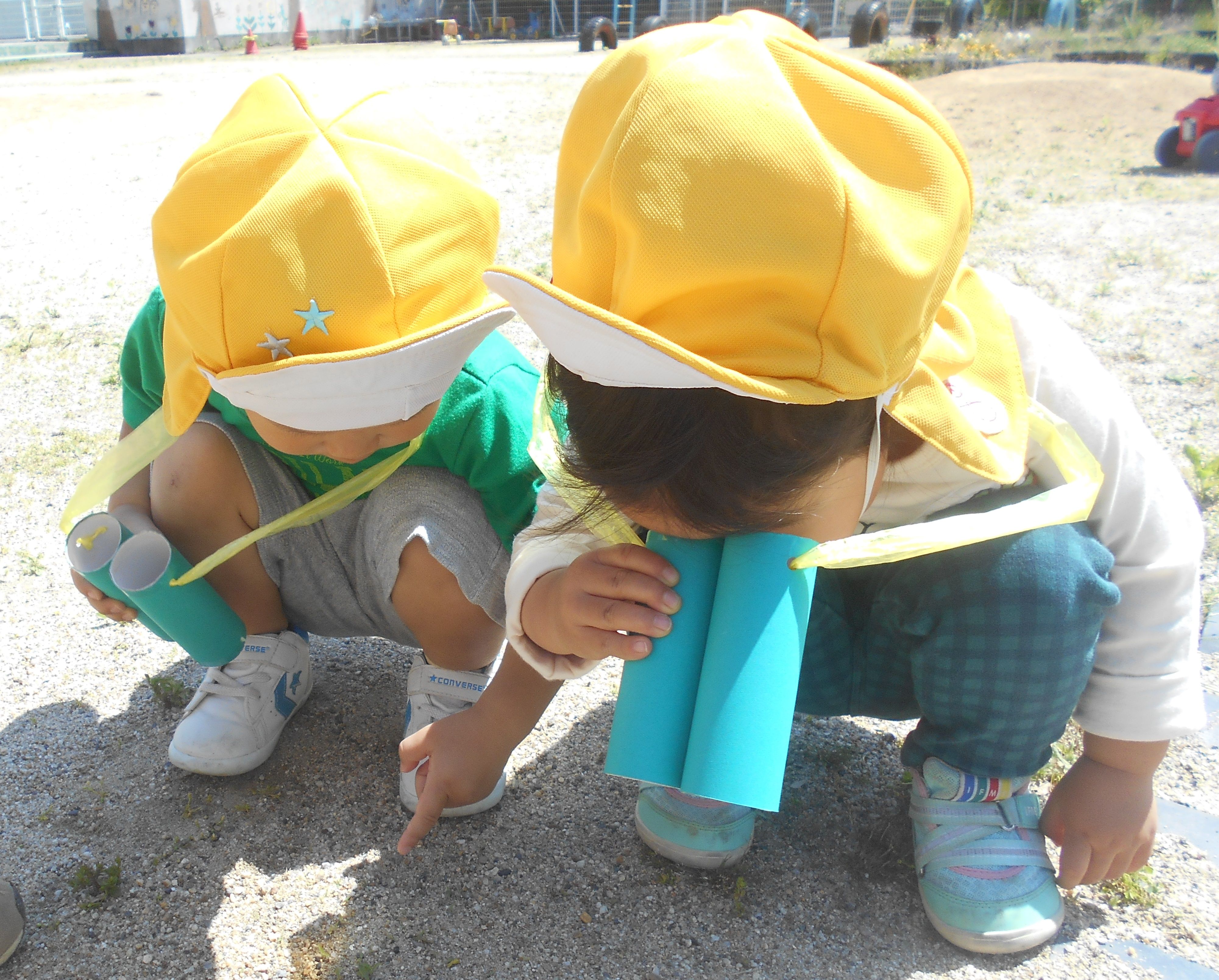 2歳児　「虫探し、だいすき!」の画像2