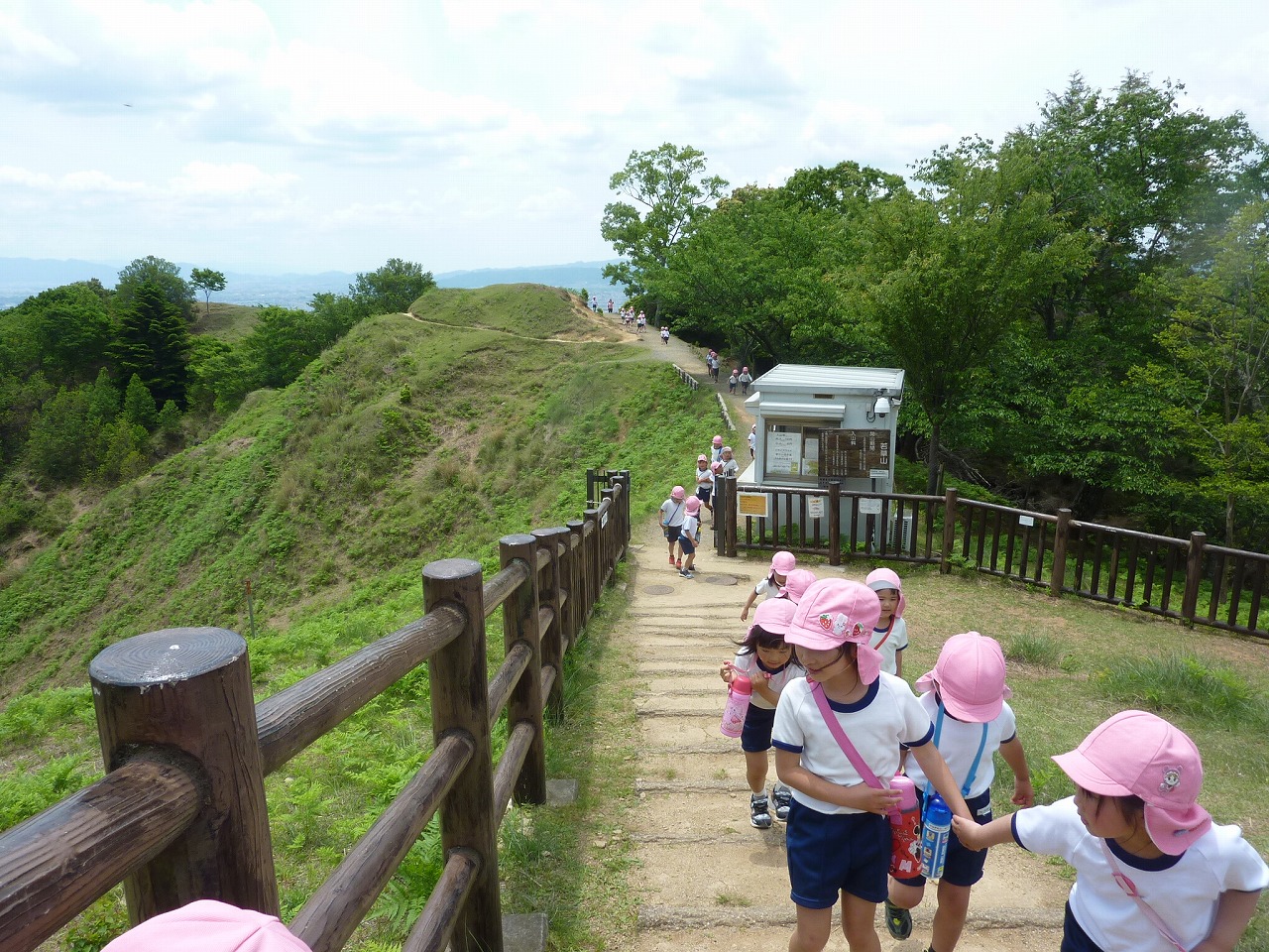 5歳児　春の遠足(若草山)の画像5