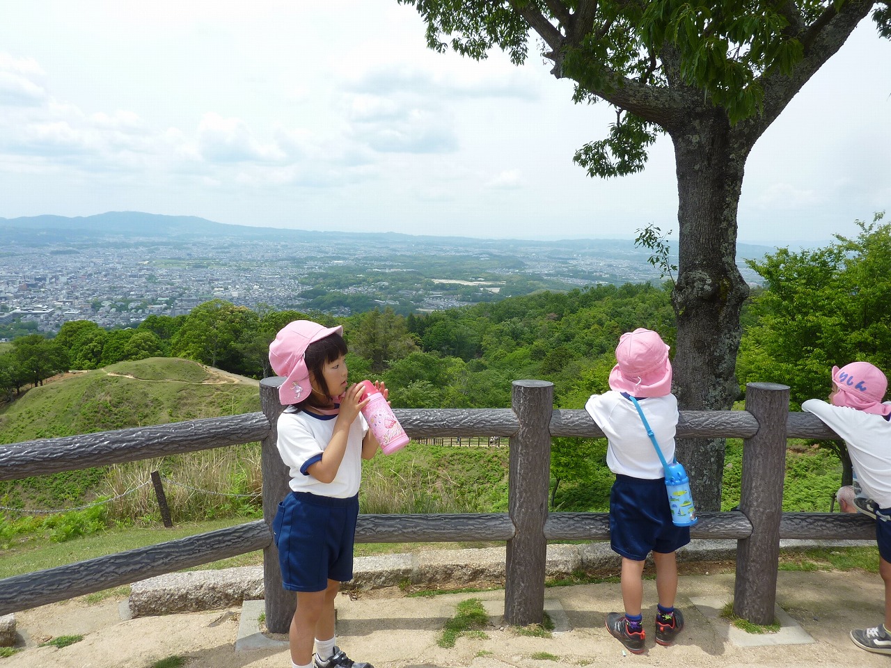 5歳児　春の遠足(若草山)の画像6