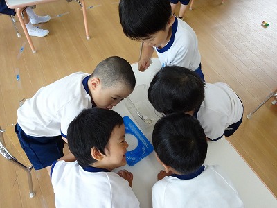 3歳児　遊びの様子の画像3