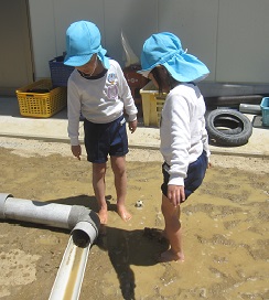 6月の様子の画像1