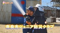 奈良市ニュースの動画を再生の画像4
