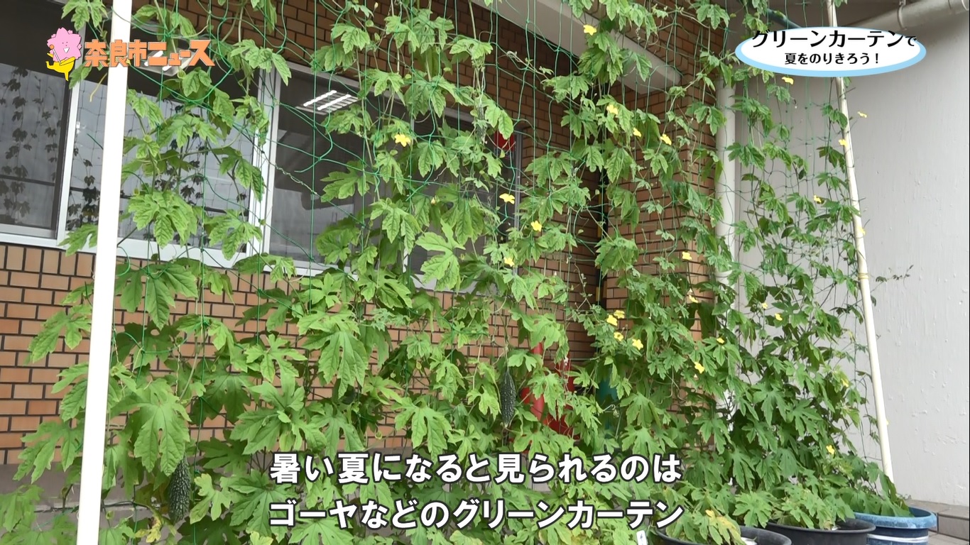 奈良市ニュースの動画を再生の画像19