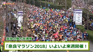 奈良市ニュース～「奈良マラソン2018」いよいよ来週開催!～の画像
