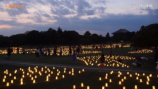 奈良市ニュース～なら燈花会 8月14日(火曜日)まで開催中～の画像