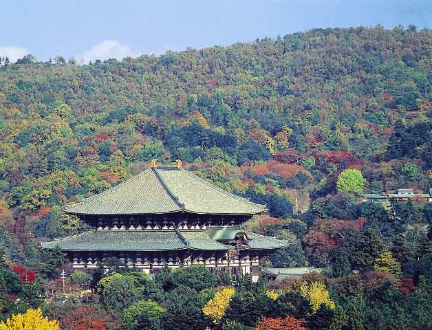 春日山特別保存地区の画像