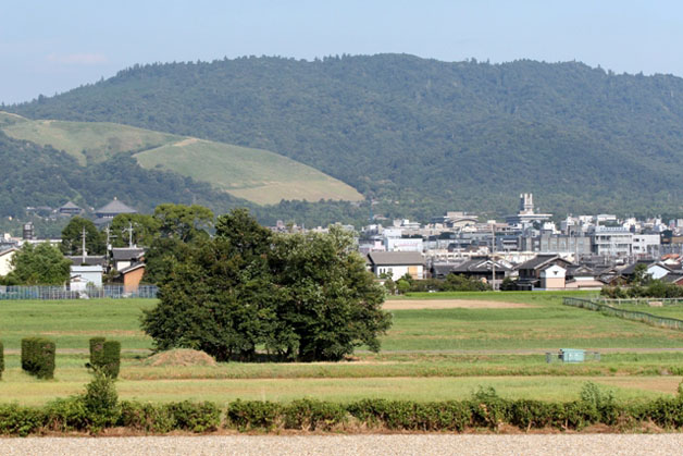 平城宮跡特別保存地区から春日山特別保存地区を望むの画像