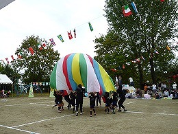 運動会の画像11