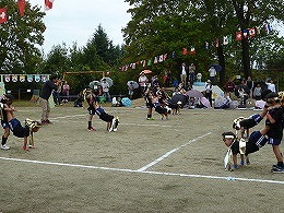 運動会の画像20