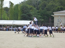 小運動会の画像3