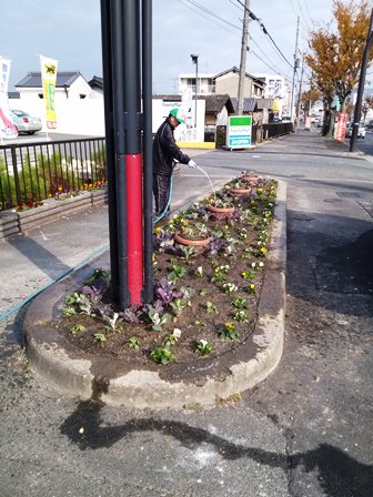 大宮通り花植え