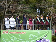 奈良マラソン2014　スタートセレモニー及び10km種目の画像1