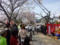 佐保川桜祭り