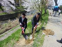 佐保川桜祭り3