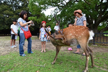 奈良の文化財をもっと知る講座2014の画像3