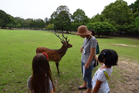 奈良の文化財をもっと知る講座2014の画像4