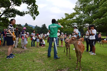 奈良の文化財をもっと知る講座2014の画像9