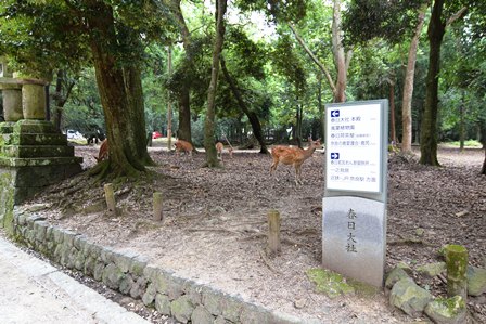 奈良の文化財をもっと知る講座2014の画像18