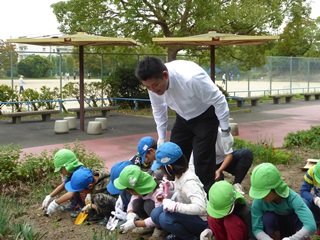 朱雀地区:秋の花植えの画像