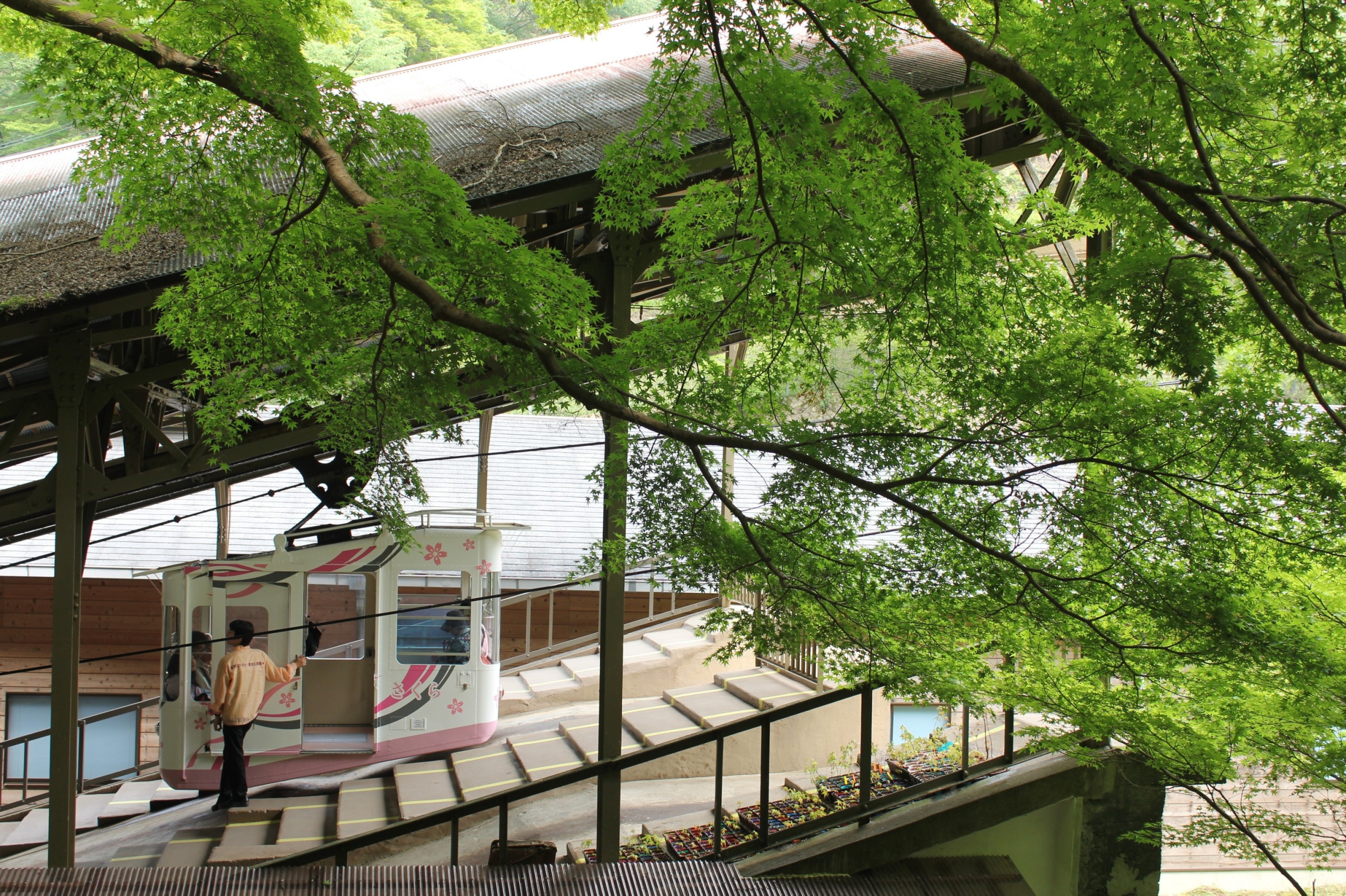平山　博健　様(名古屋市)の画像