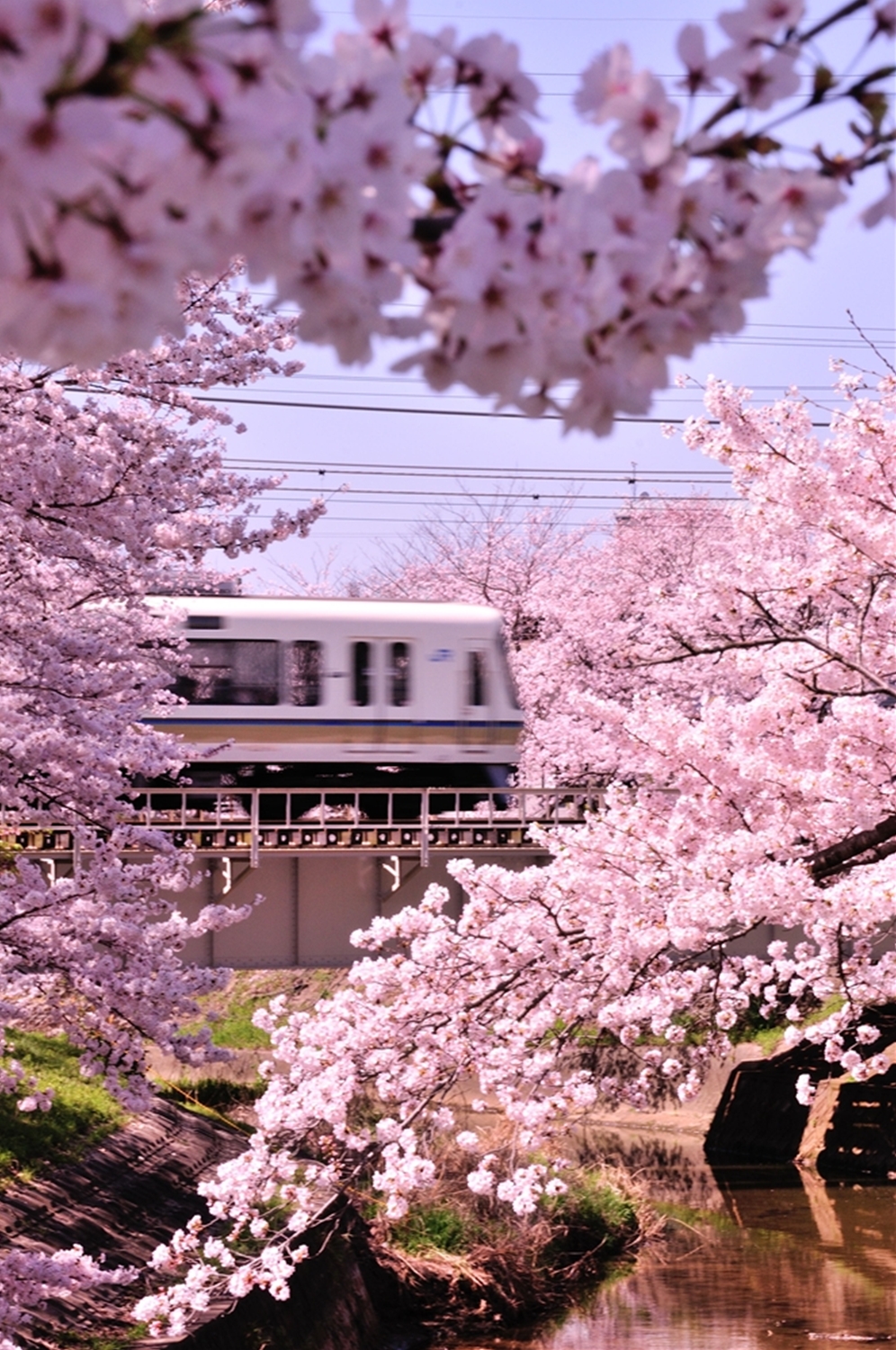 馬場　勝也　様　(奈良市)の画像