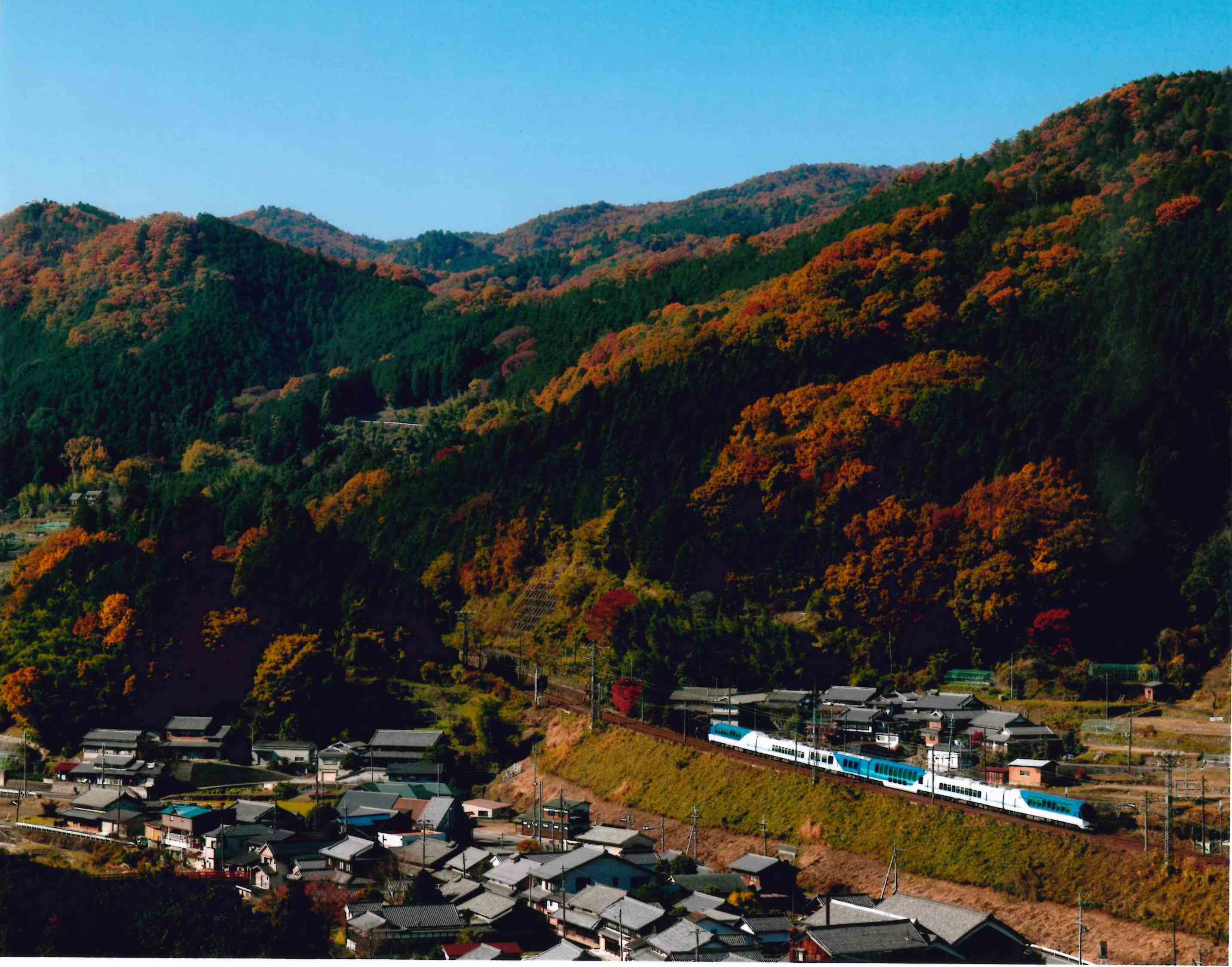 木内　康仁　様　(奈良市)の画像