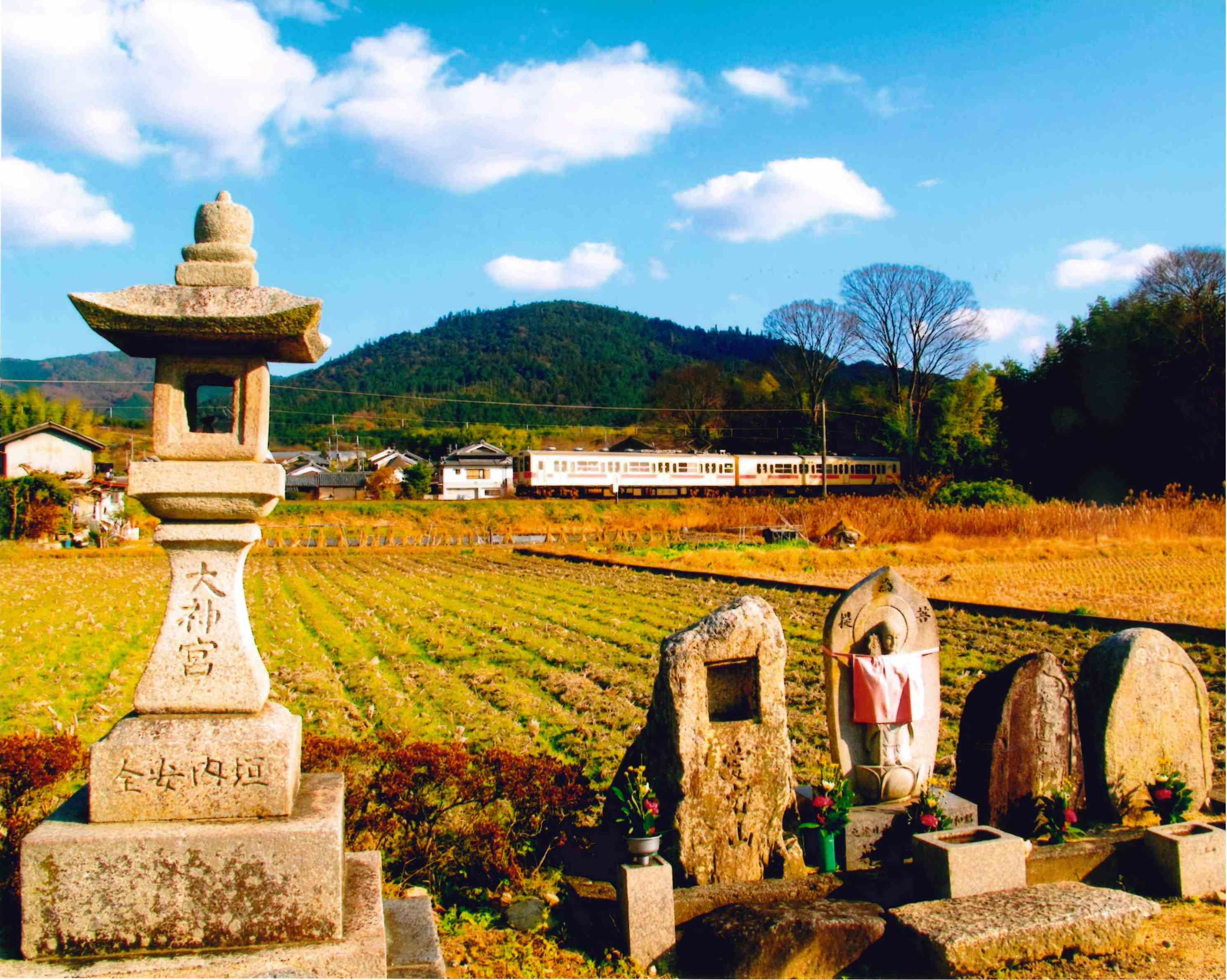 堀内　保彦　様　(橿原市)の画像