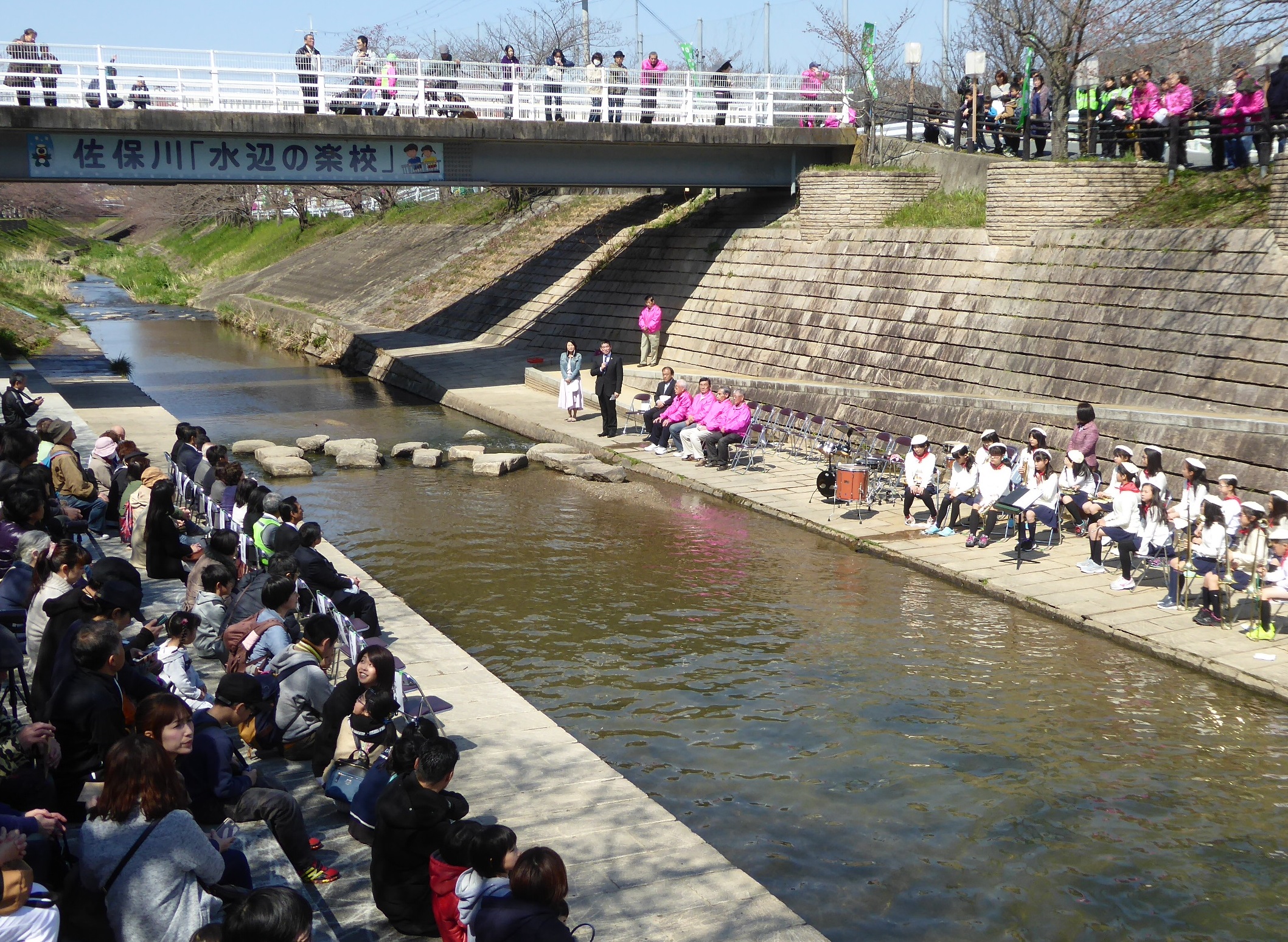 第15回佐保川わいわい桜祭りの画像