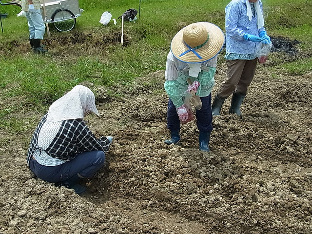 農業体験事業の様子