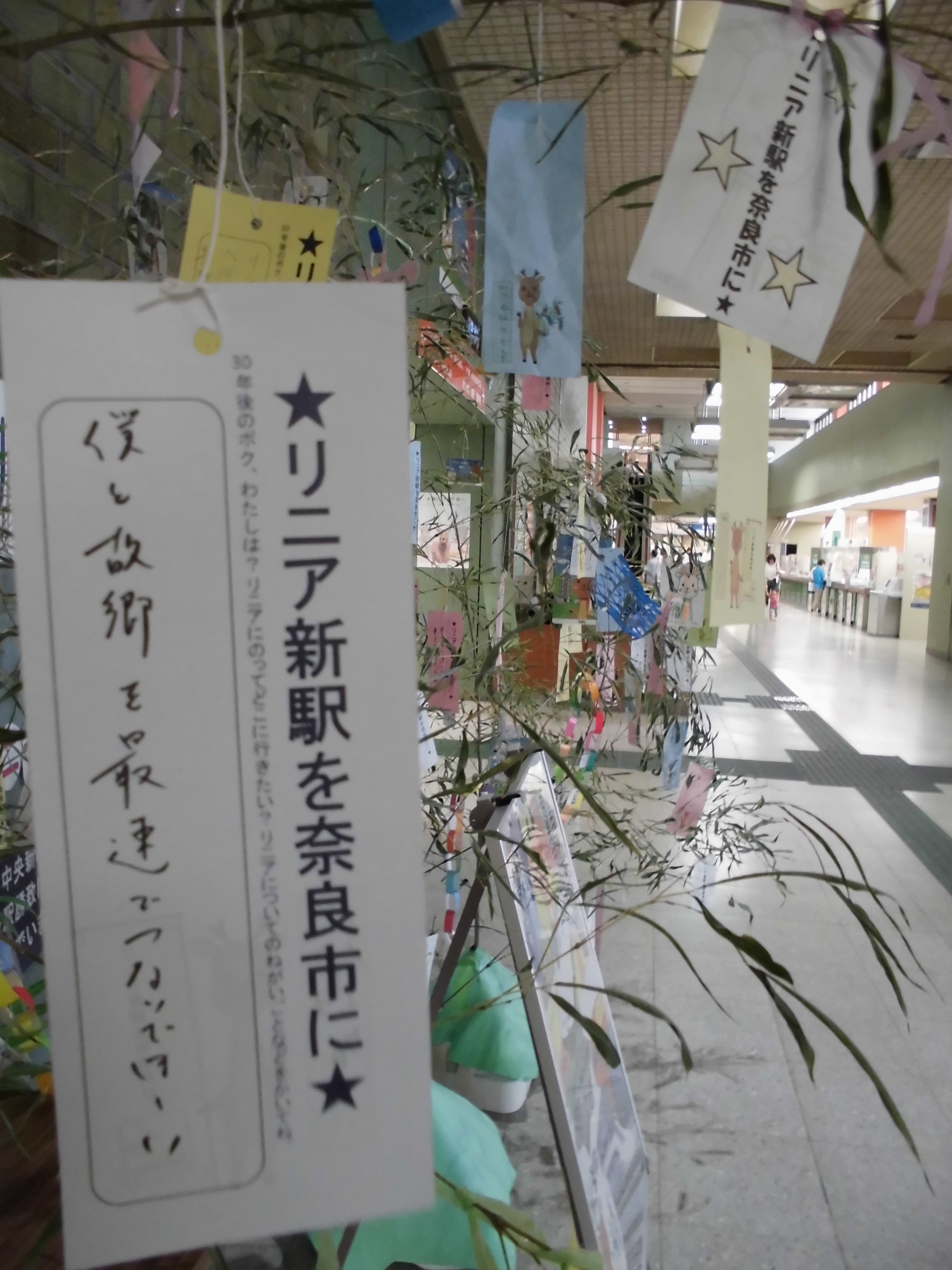 奈良市観光特別大使の八嶋智人さん・風香さん、タレントの斉藤雪乃さんにも短冊を書いていただきましたの画像1