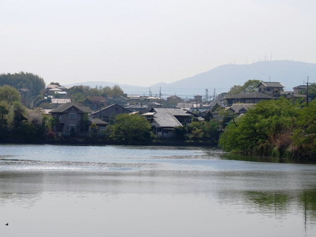 あやめ池風致地区（蛙股池）の画像