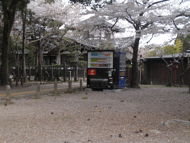 奈良公園周辺の画像1