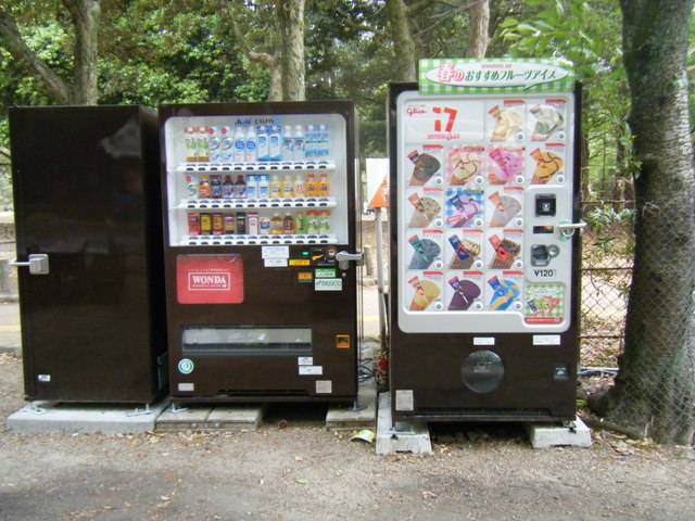 奈良公園周辺の画像3
