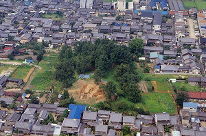 大安寺杉山古墳の画像