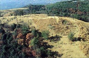 鶯塚古墳の画像