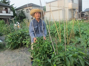 市民農園の様子