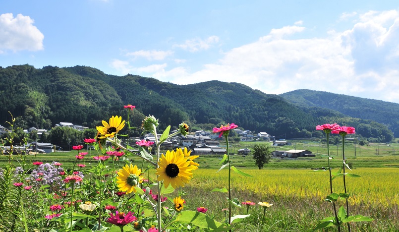 奈良のやま里