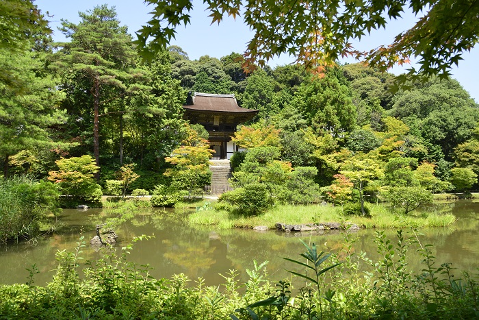 円成寺