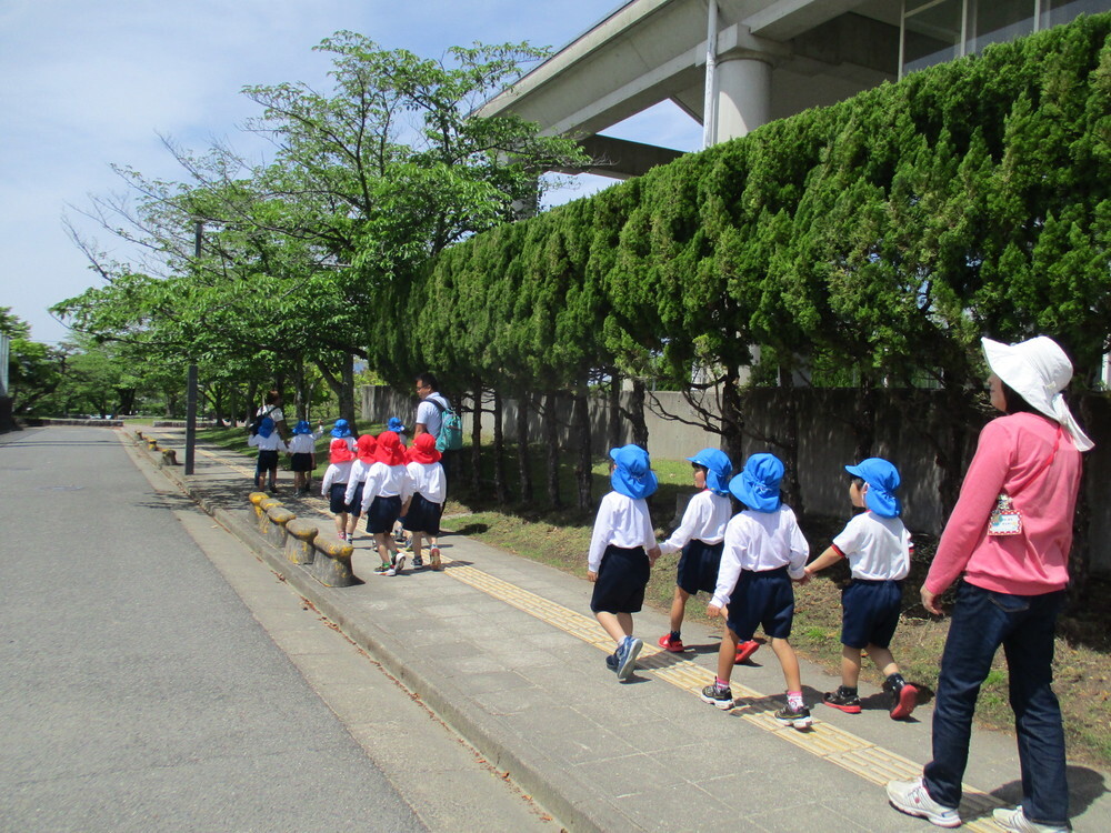 大きな木