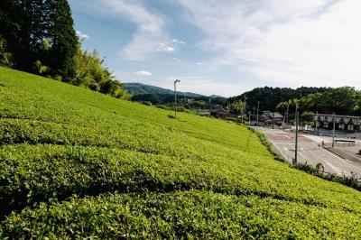 田原地区