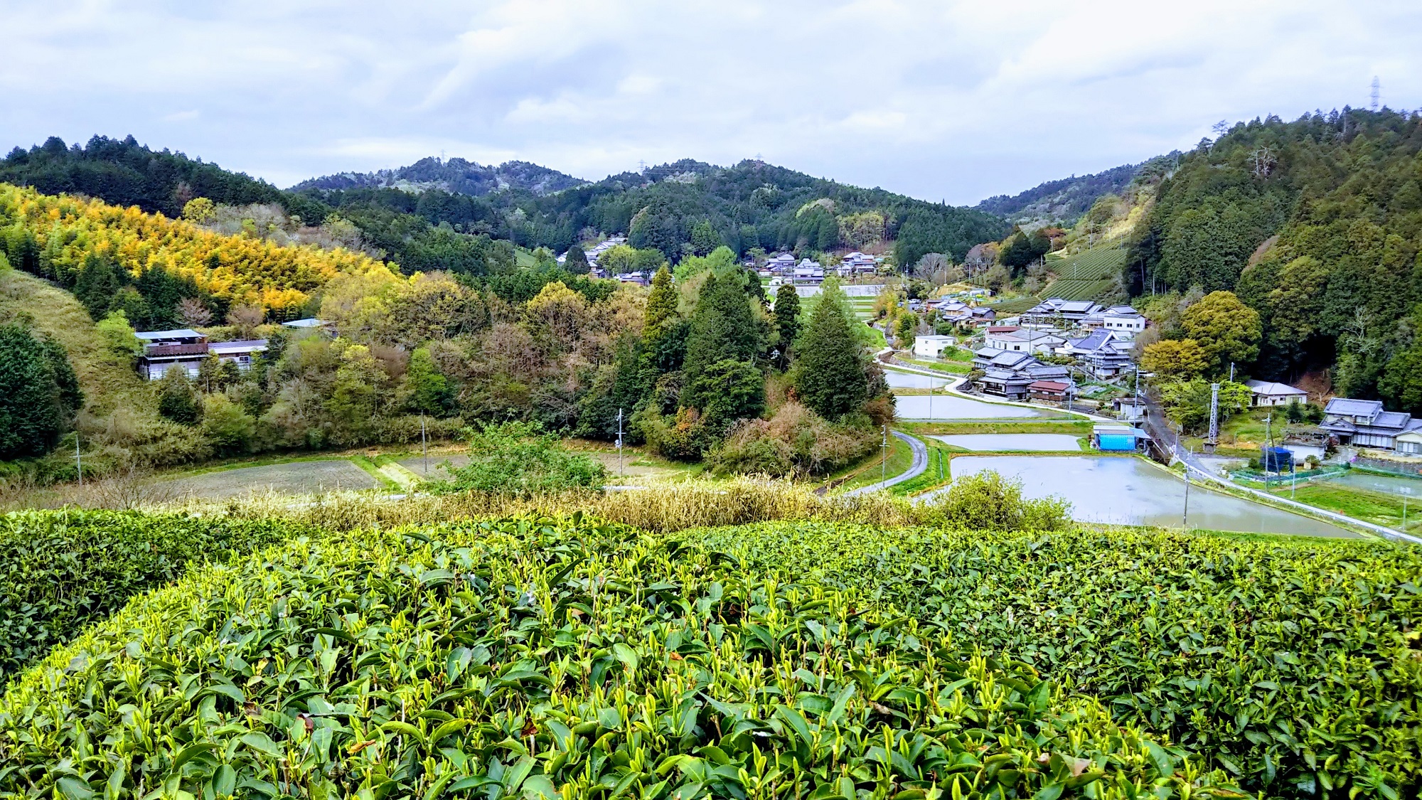 田原ナチュラル・ファーム