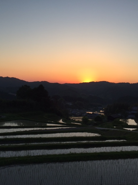 竹西農園（遊茶庵）