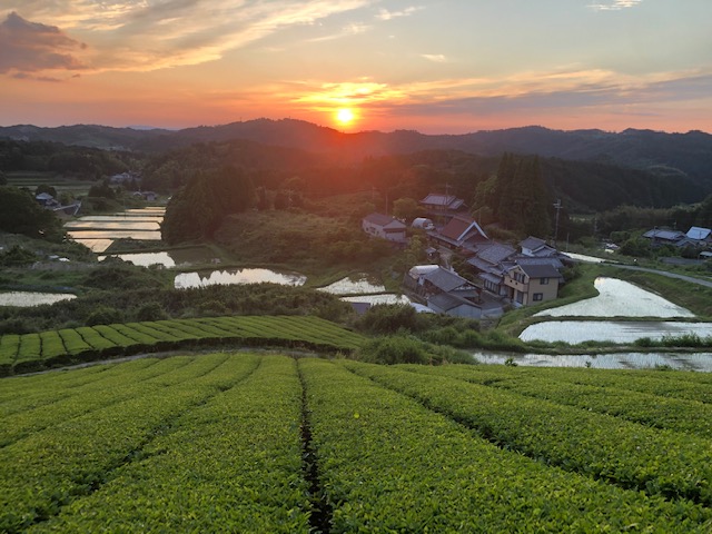 竹西農園（遊茶庵）