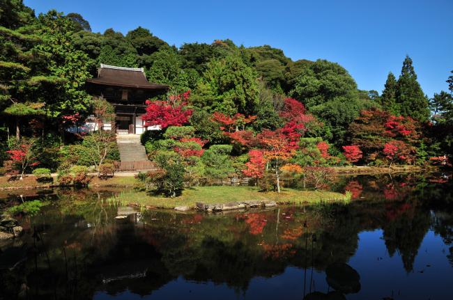 紅葉の季節もおすすめ