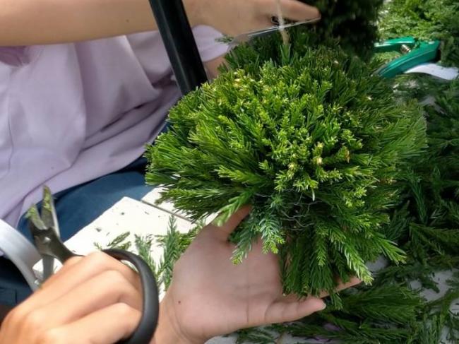 大和高原醸造所